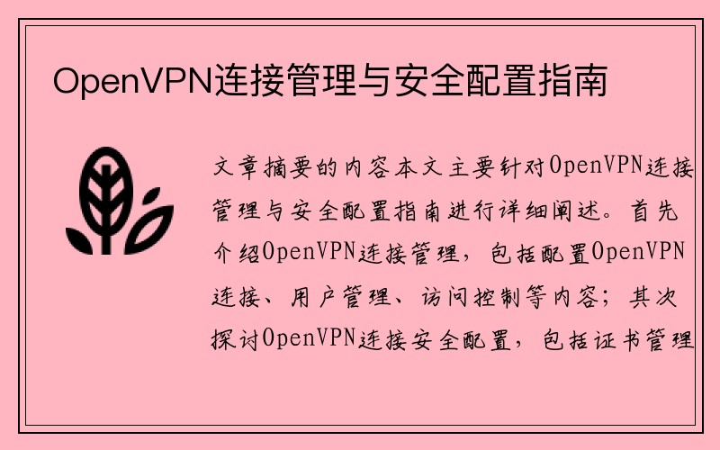 OpenVPN连接管理与安全配置指南