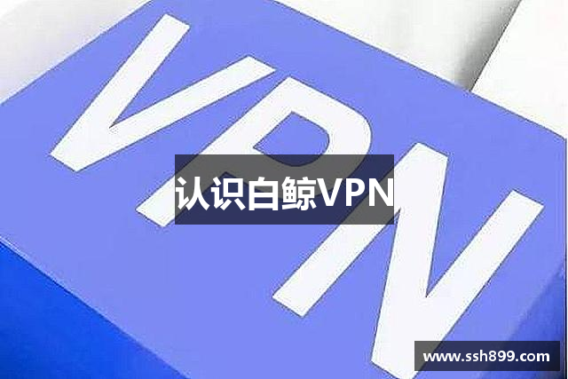 认识白鲸VPN