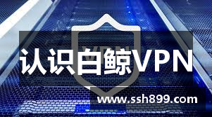 认识白鲸VPN